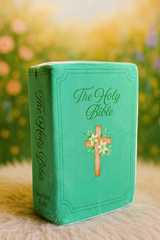 Green💚Bible Pillow (Ephesians 6:10-18)